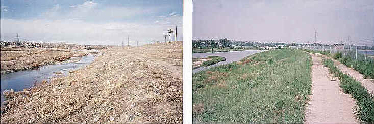 South Platte River in Thornton