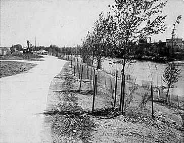 South Platte River at Globeville